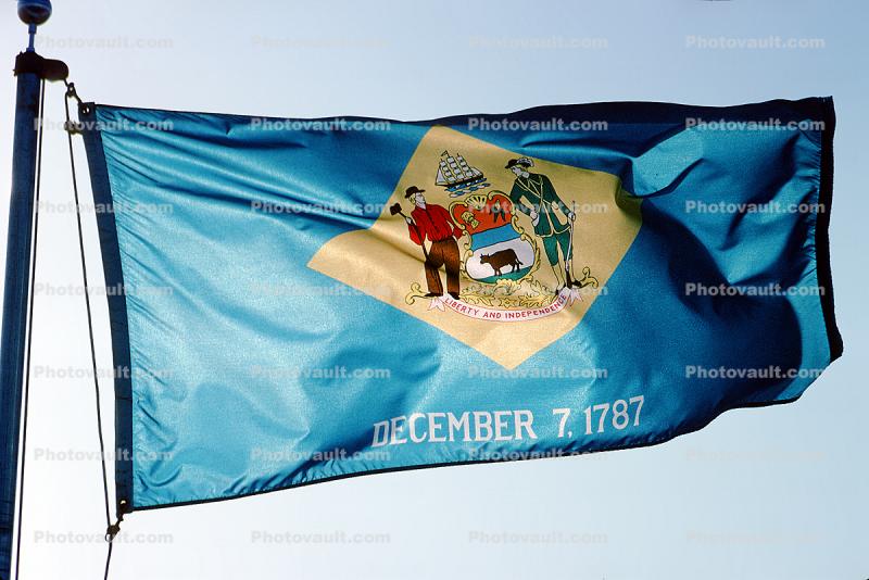Delaware State Flag, USA, Fifty State Flags