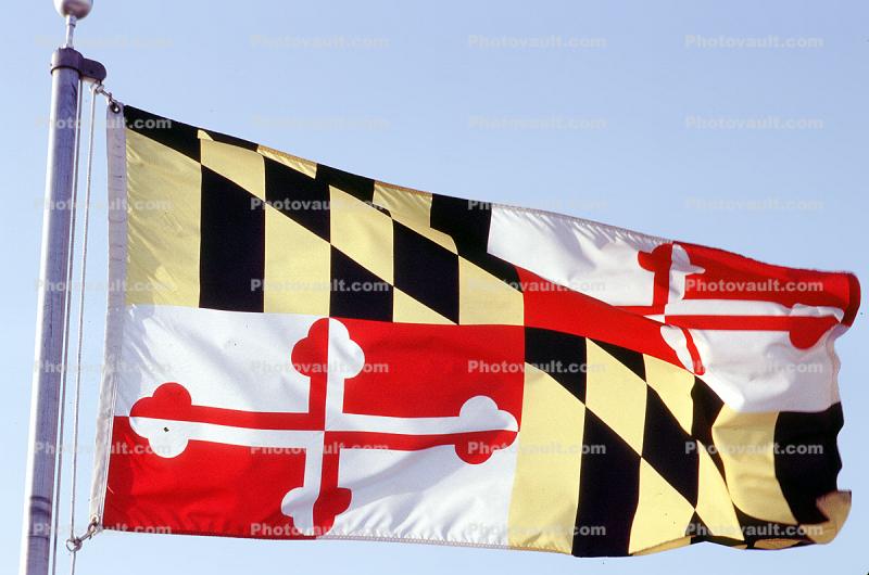 Maryland State Flag, Fifty State Flags