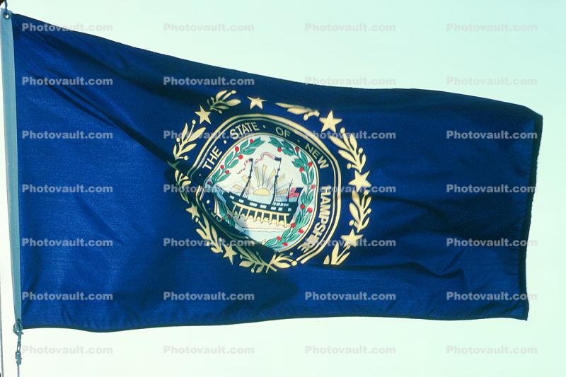 New Hampshire State Flag, Fifty State Flags