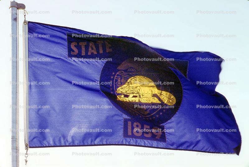 Oregon, State Flag, Fifty State Flags