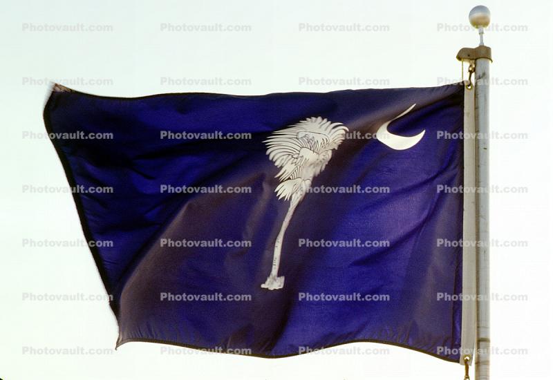 South Carolina State Flag, Fifty State Flags