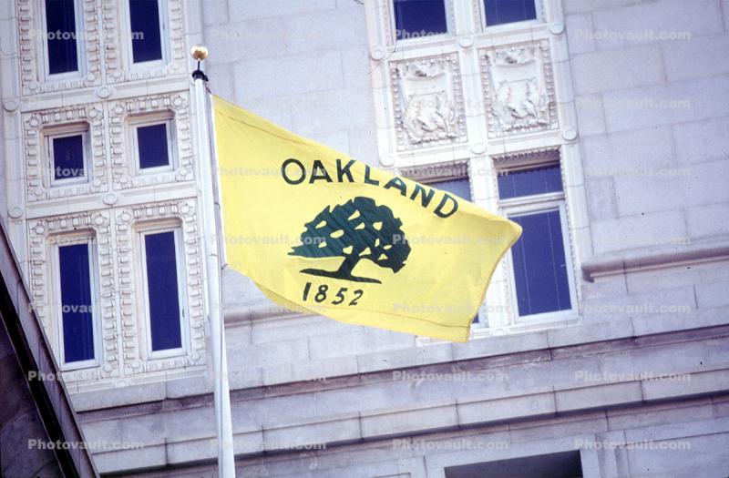 Oakland City Hall, Oak Tree