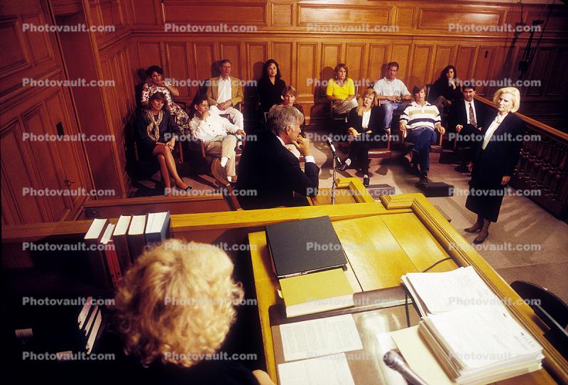 judge, jury, Defendant, witness, Trial, Court Session, Juror, People