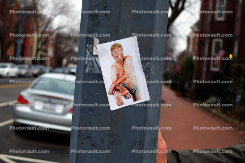 Donald Chump with a teenie weenie, Protest Poster, Trump Inauguration Day