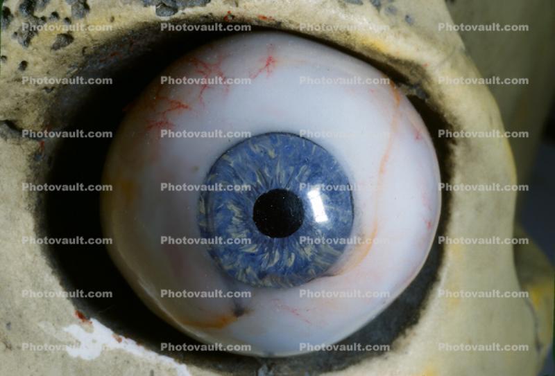 Eyeball, iris, pupil, glass eye, veins, Socket, Round, Circular, Circle, Sclera