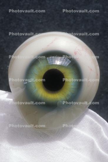 Eyeball, iris, pupil, glass eye, veins, Sclera