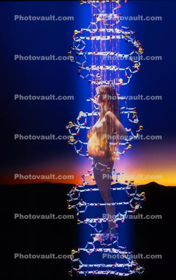 Pregnant Woman in a DNA Double Helix With Baby Forming