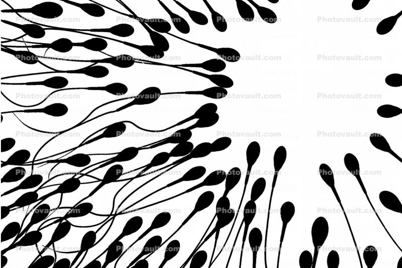 Sperm Swimming to the Center silhouette, Fertilization, cell, logo, shape