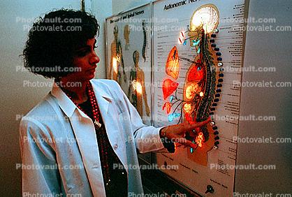 Female Practitioner, Doctor, Chiropractic, Chiropractor, Chart, Spine