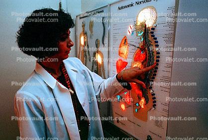 Female Doctor, Chiropractic, Chiropractor, Chart, Spine