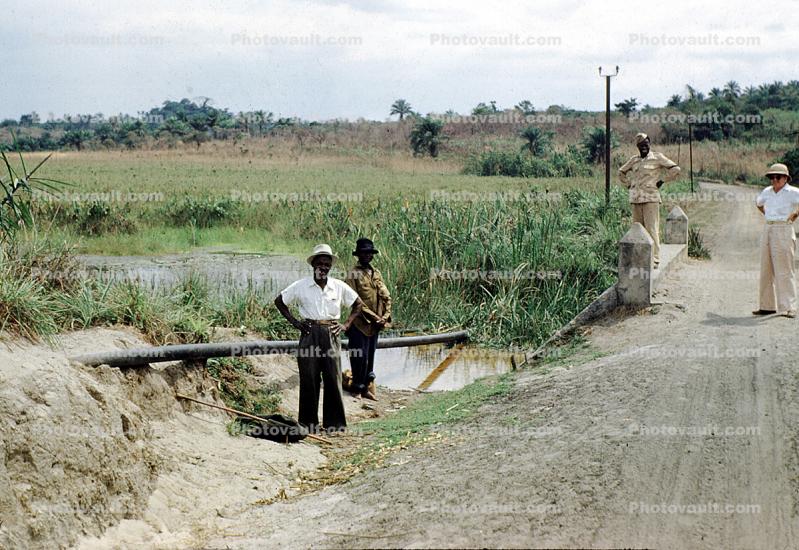 Water Pipeline Construction, Zaire, Africa, 1958, 1950s