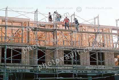 scaffold, scaffolding