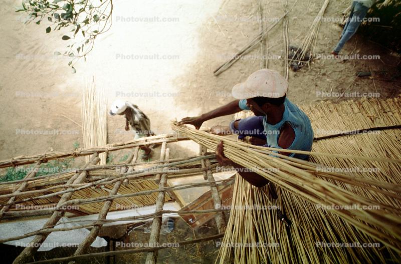 Grass Thatched roofing, Xai-Xai, Mozambique, Sod