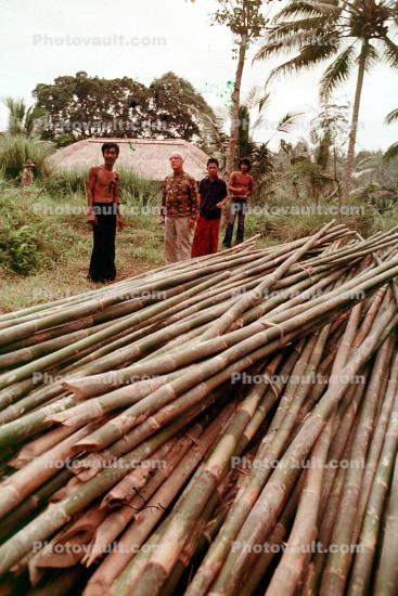 Constructing a Geodesic Dome, Bamboo Framing