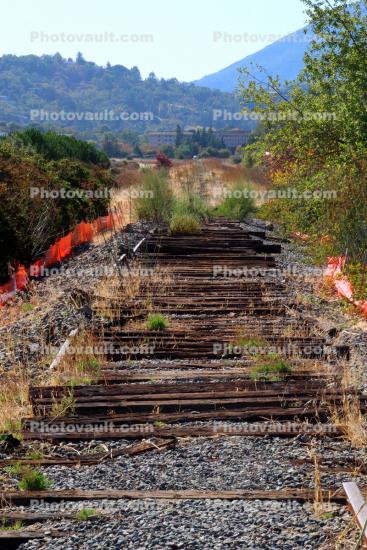 Decaying Rail at Galinas Creek, Marin County