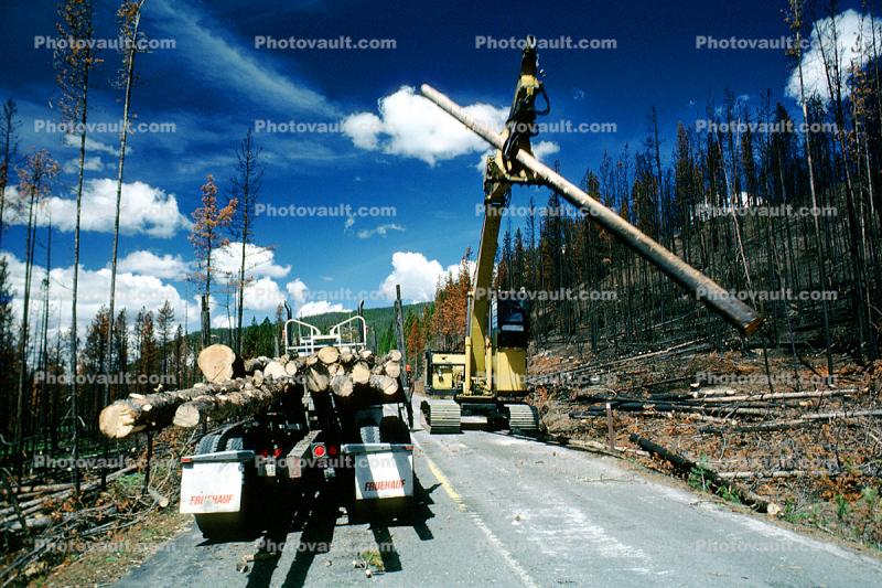Logging Truck, Crane, clearing out burned trees from the great fire