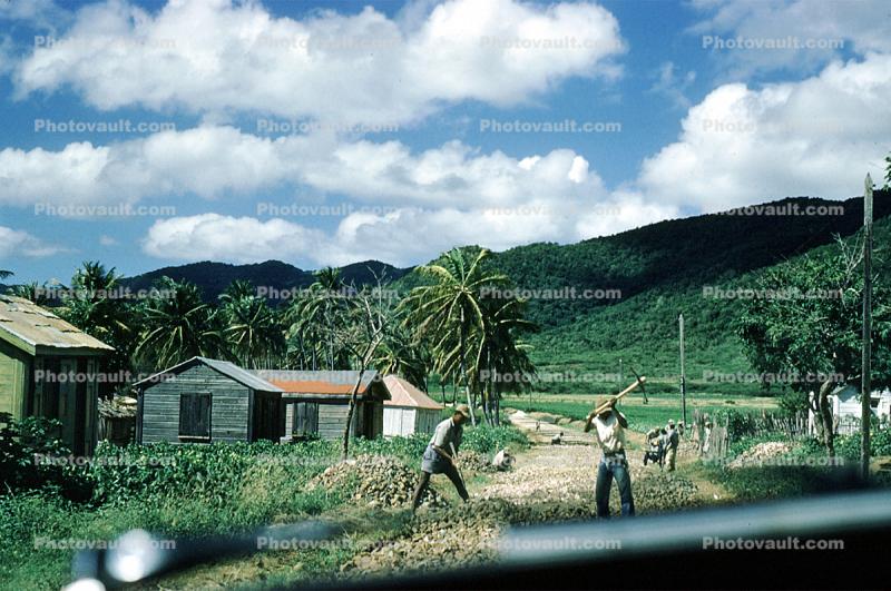 Martinique, 1950s
