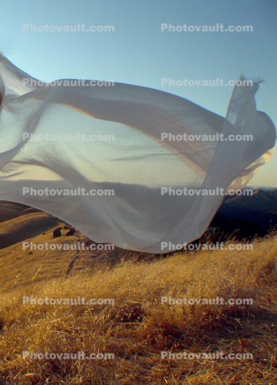 floating cloth, wrinkles, flying, wafting in the wind, windy, windblown, Equanimity