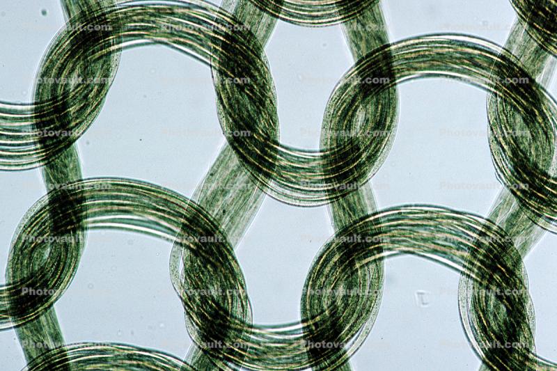 Microscopic Fiber, Cloth