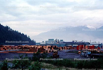 Logging Yard, near Vancouver, Canada