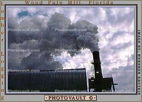 Wood Pulp Mill, Florida