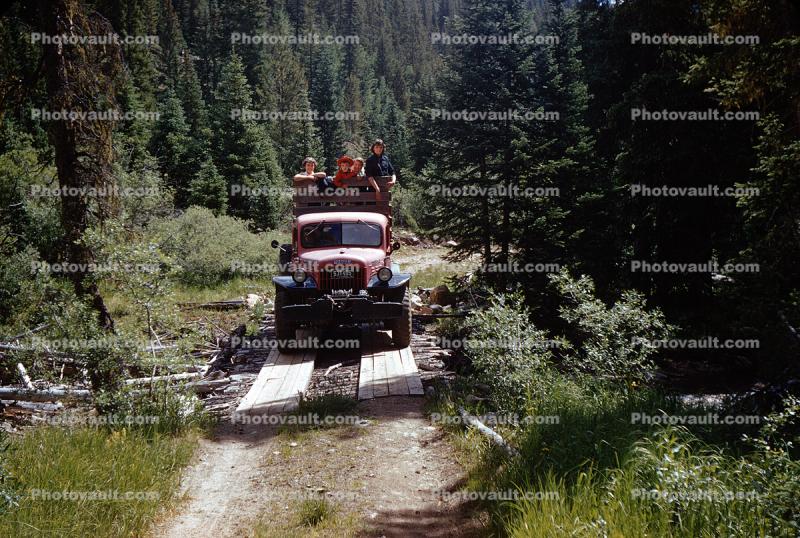 Dodge Lumber Truck, Bridge, Forest, Trees, 1950s