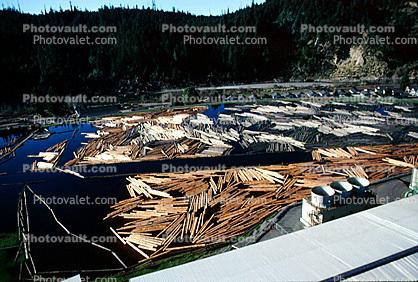 Log Rafts, Lumber Mill, Humboldt County