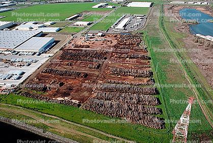 Logs, log stacks, Lumber Mill, warehouse, Humboldt County