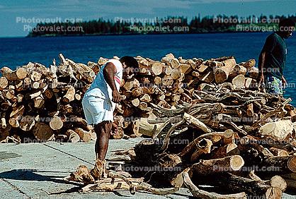 Logs, stacked, stacks, pile, Isle of Pines, New Caledonia