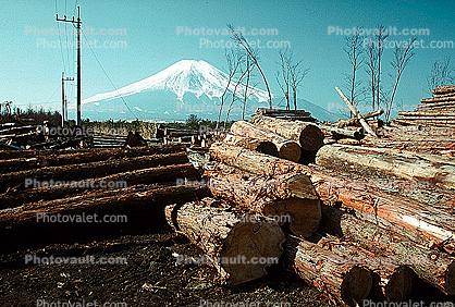 Lumber Mill, Logs, stacked, stacks, pile, Oshino, Japan