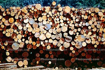 Logs, stacked, stacks, pile