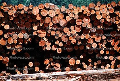 Logs, stacked, stacks, pile