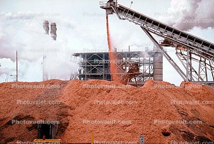 Pulp Mill, sawdust, Conveyer Belt