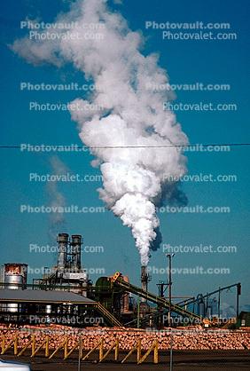 Smoke, Air Pollution, soot, Pulp Mill, log mounds, buildings, Conveyer Belts