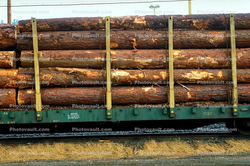 Log Train