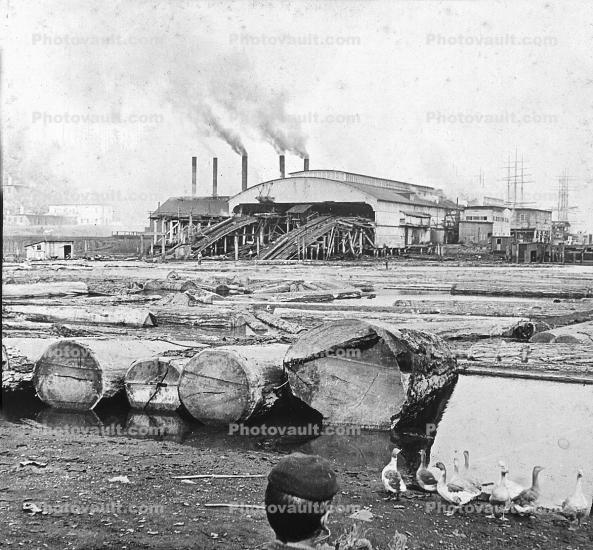 logs, mill, Geese, lumber mill, smokestacks, smoke, 1890's