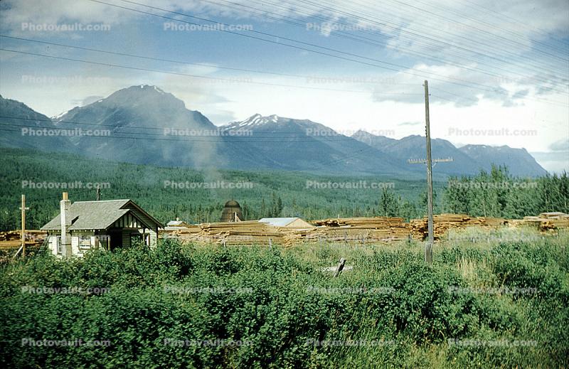 wood waste burner, mountains, forest, lumber mill