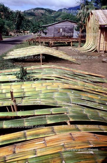 Bamboo Logs