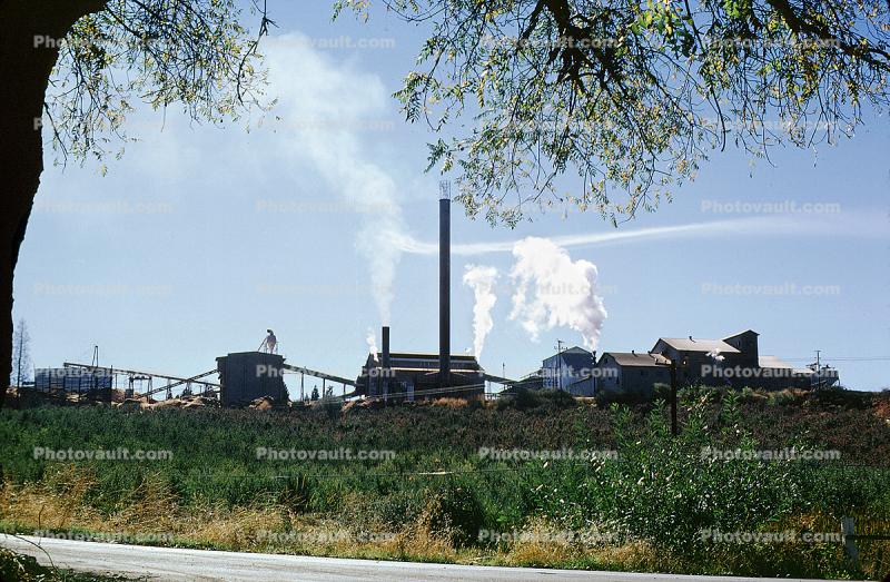 Wood Pulp Mill, Smokey Lumber Mill, smoke, air pollution, soot, buildings