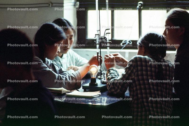 Women, lab, light bulb, females, laboratory, 1950s