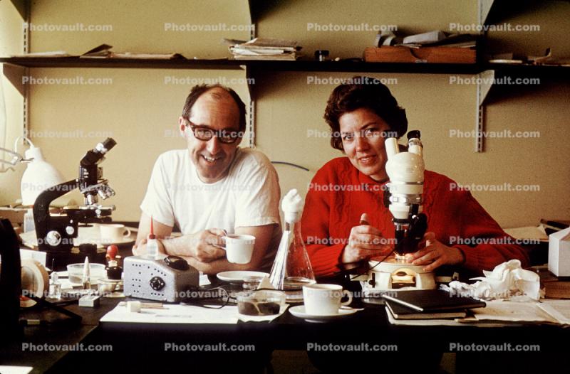 Man, Woman, Microscopes, Researchers, Research, Greenland, Lab, 1960s
