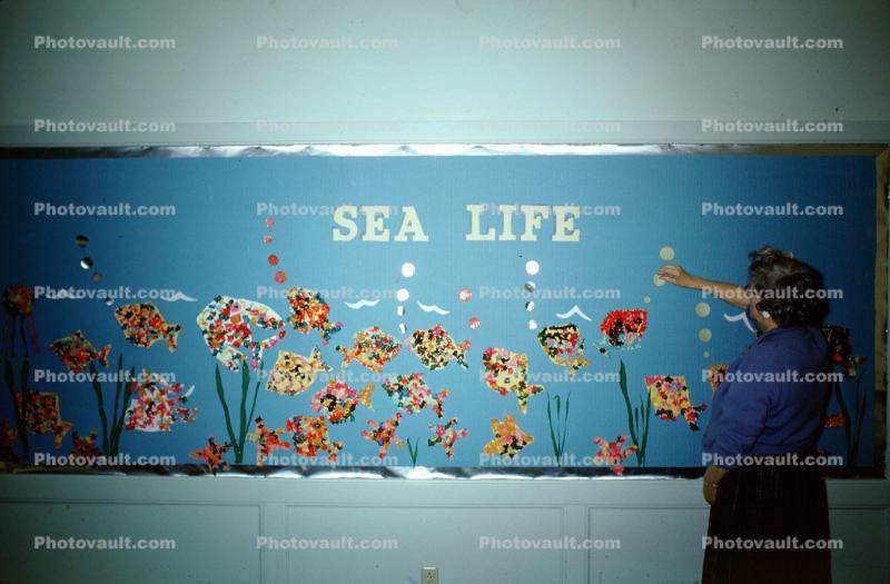 Sea Life, aquarium, water, mural, Classroom, 1960s