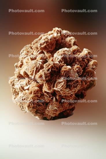 Gypsum Rosettes CaSO4 - 2H20