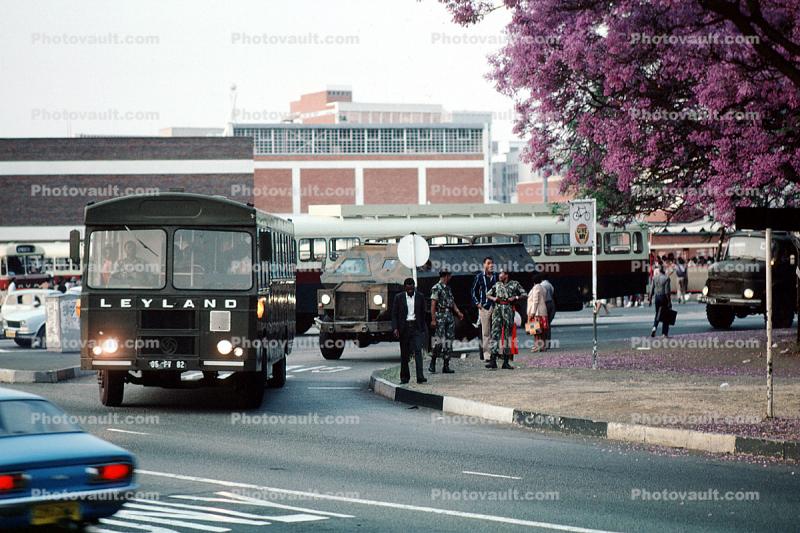 Leyland Bus, Downtown Harare