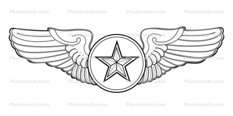 United States Air Force, wings, badge