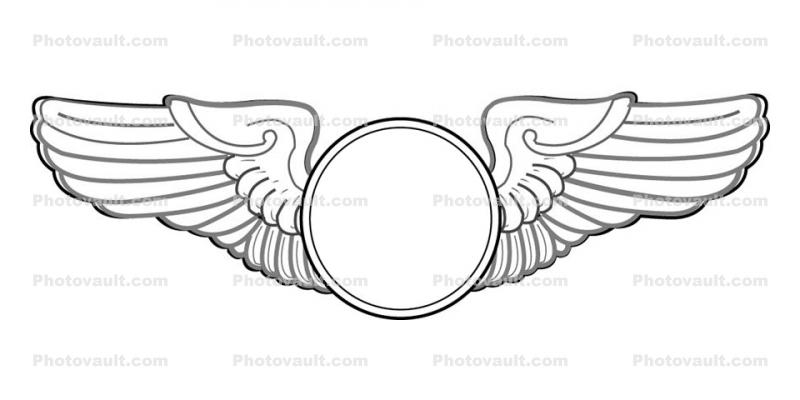 Air Force Wings, Abstract