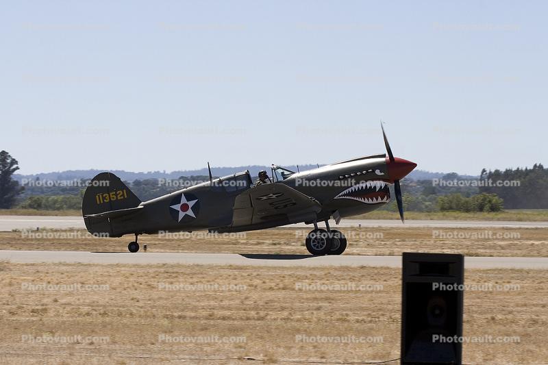 113521, Curtiss P-40E Warhawk