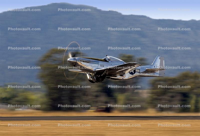 P-51D in flight, taking-off