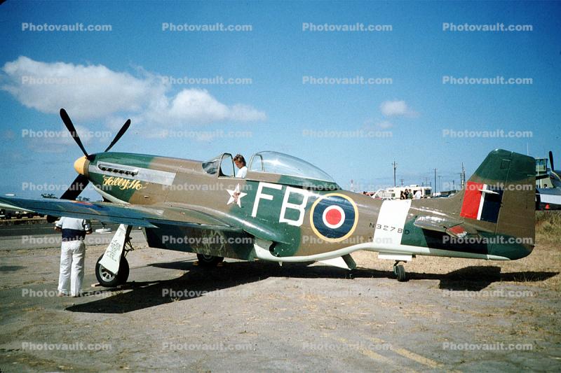 Tally Ho, North American P-51D Mustang, camouflage