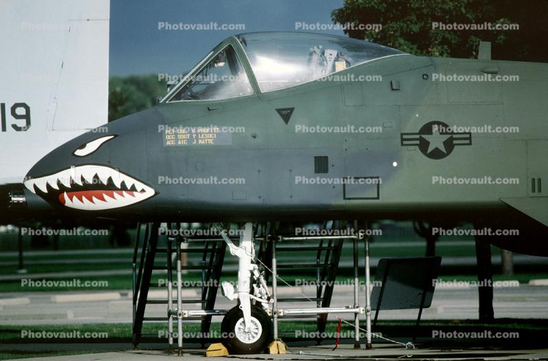 Shark Teeth, eyes, conopy, A-10 Thunderbolt